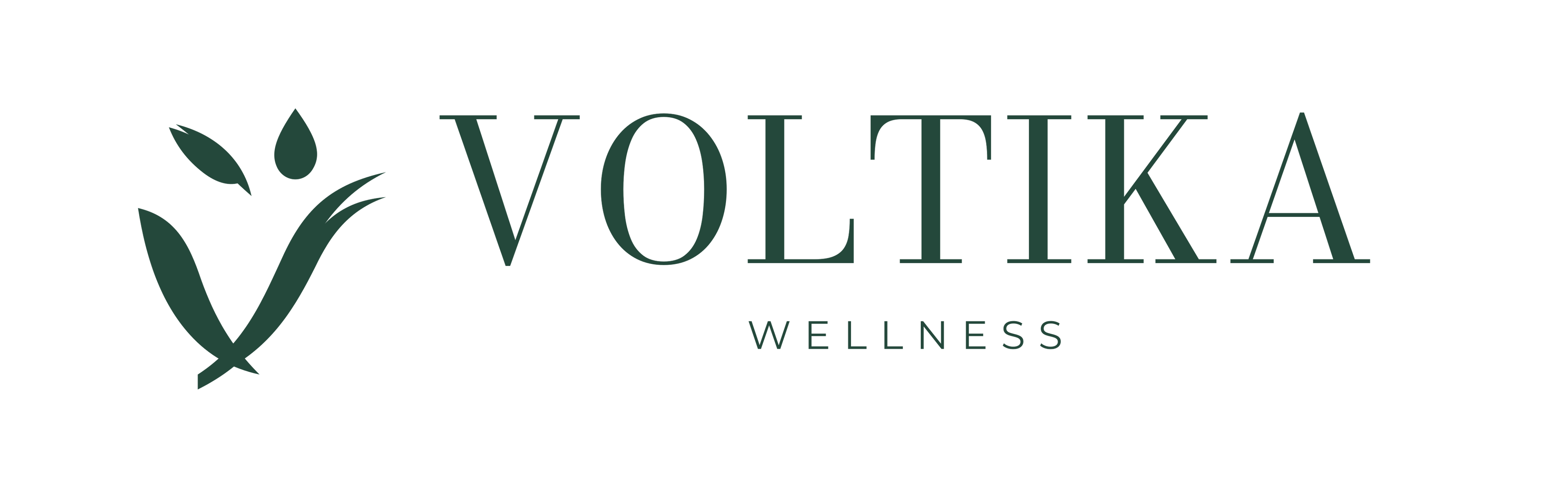 Voltika store